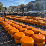 Girls Trip Alkmaar - Kaasmarkt