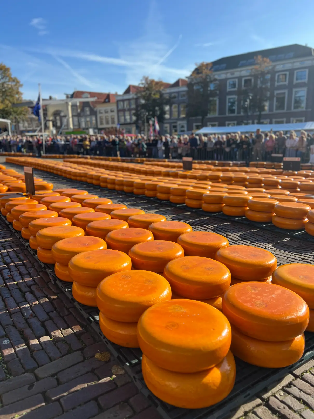Girls Trip Alkmaar - Kaasmarkt