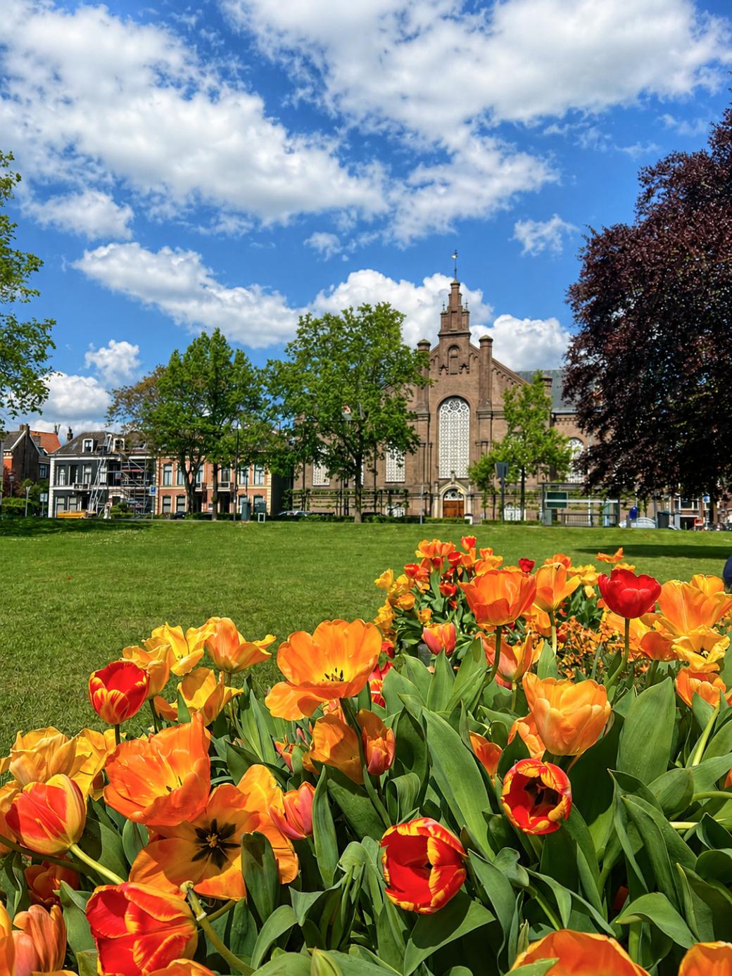 Girls Trip Zwolle - Centrum 