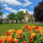 Girls Trip Zwolle - Centrum 