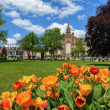 Girls Trip Zwolle - Centrum 
